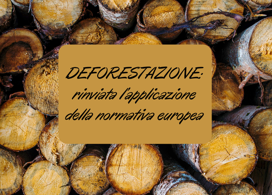 deforestazione rinviata normativa.png